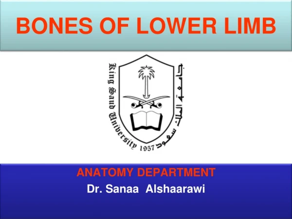 BONES OF LOWER LIMB