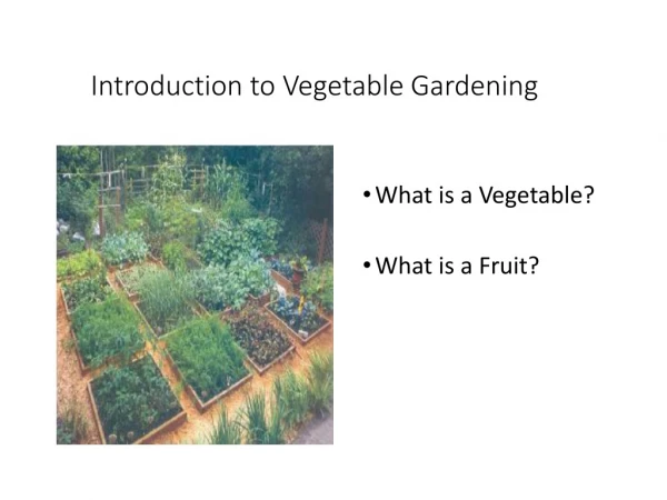 Introduction to Vegetable Gardening