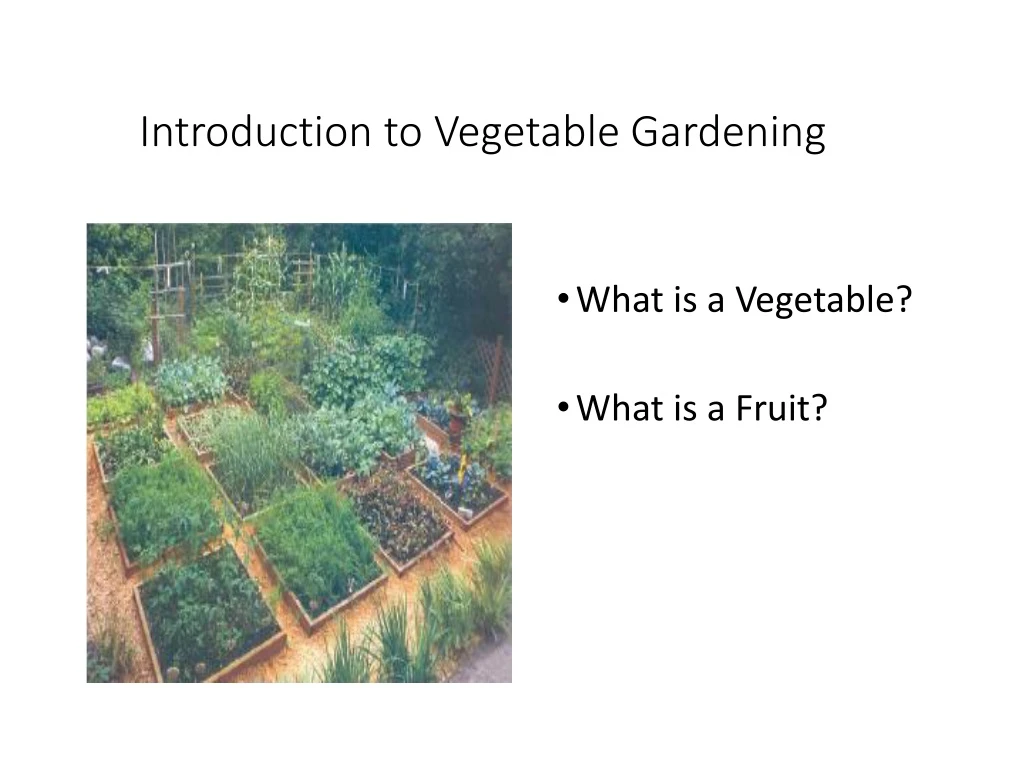 introduction to vegetable gardening