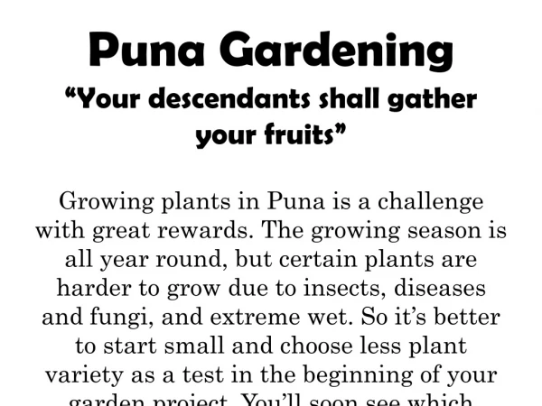 Puna Gardening “Your descendants shall gather your fruits”