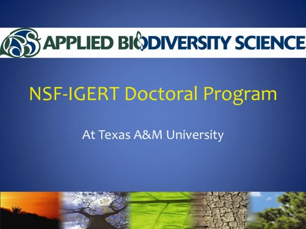 NSF-IGERT Doctoral Program