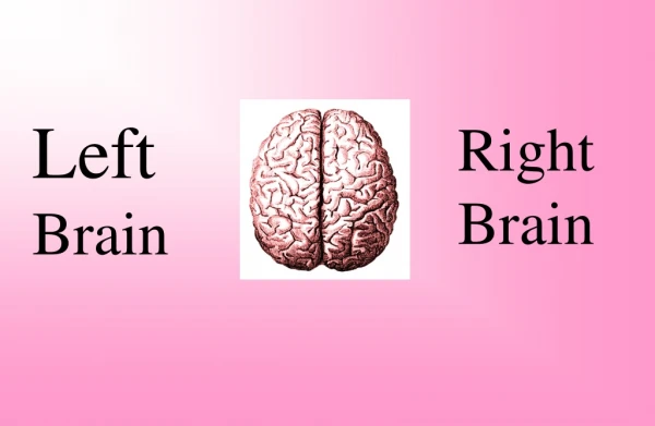Left  Brain
