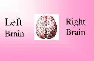 Left  Brain - slide 1