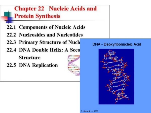 DNA