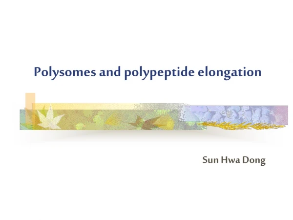 Polysomes and polypeptide elongation
