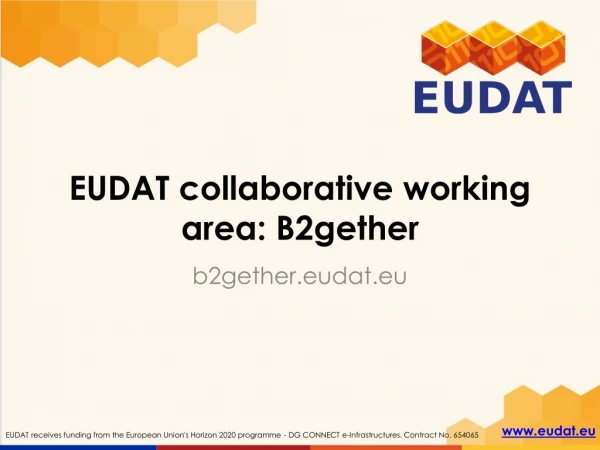 EUDAT collaborative working area: B2gether