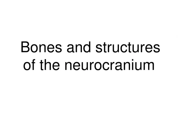 Bones and structures of the neurocranium
