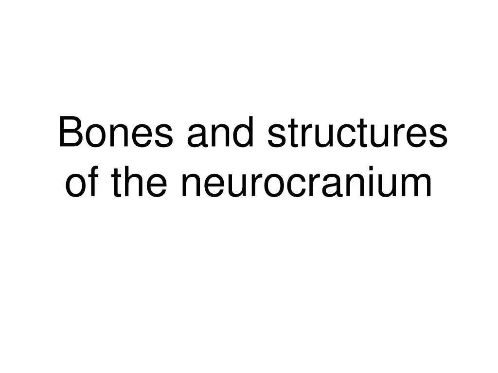 bones and structures of the neurocranium