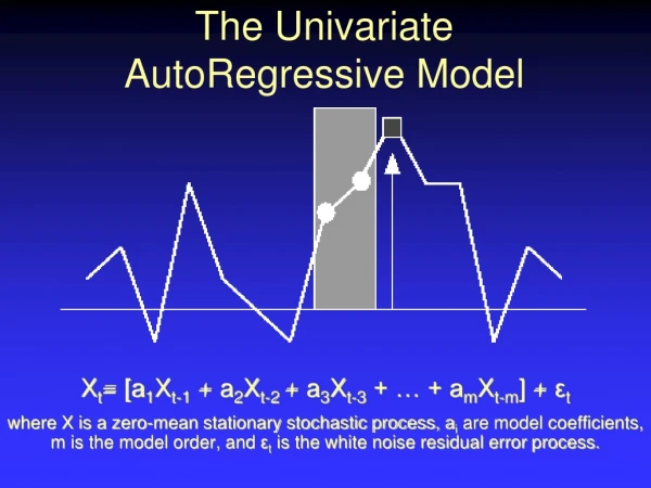 The  Univariate AutoRegressive  Model