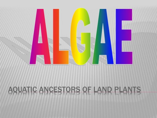 Aquatic Ancestors of Land Plants