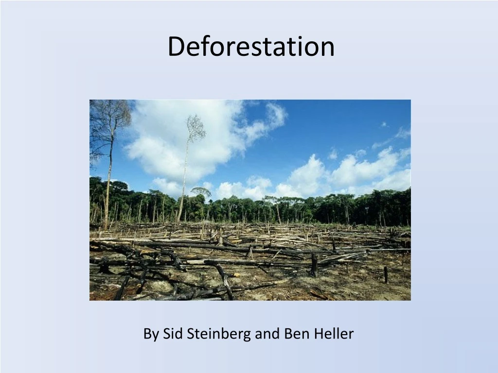 deforestation