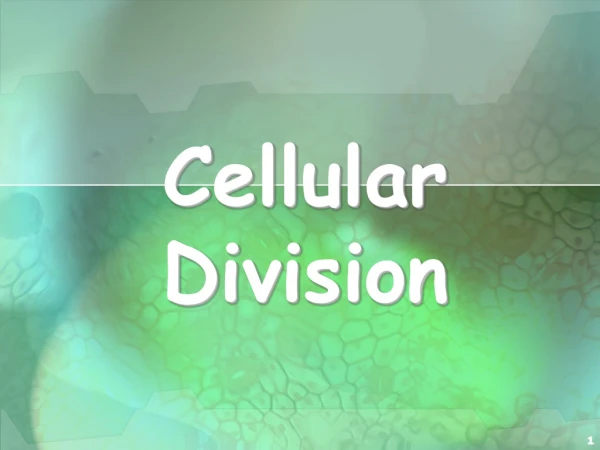 Cellular Division