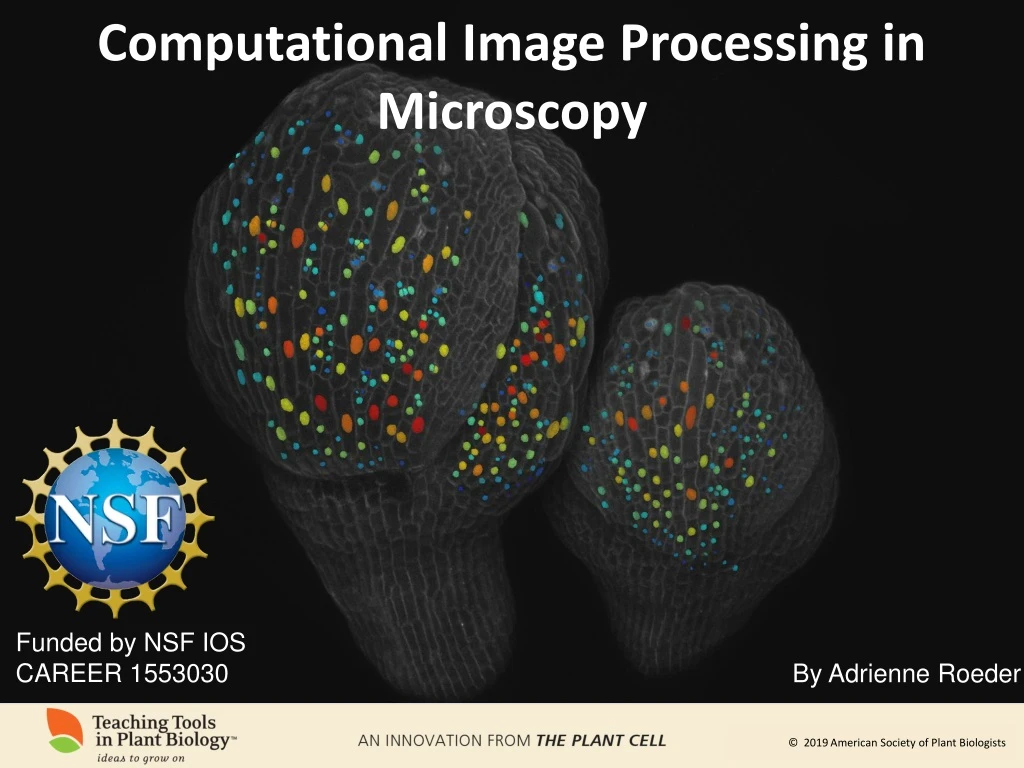 computational image processing in microscopy