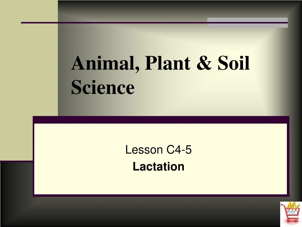 animal plant soil science