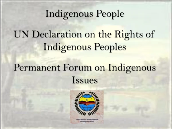 Indigenous People  UN Declaration on the Rights of Indigenous Peoples