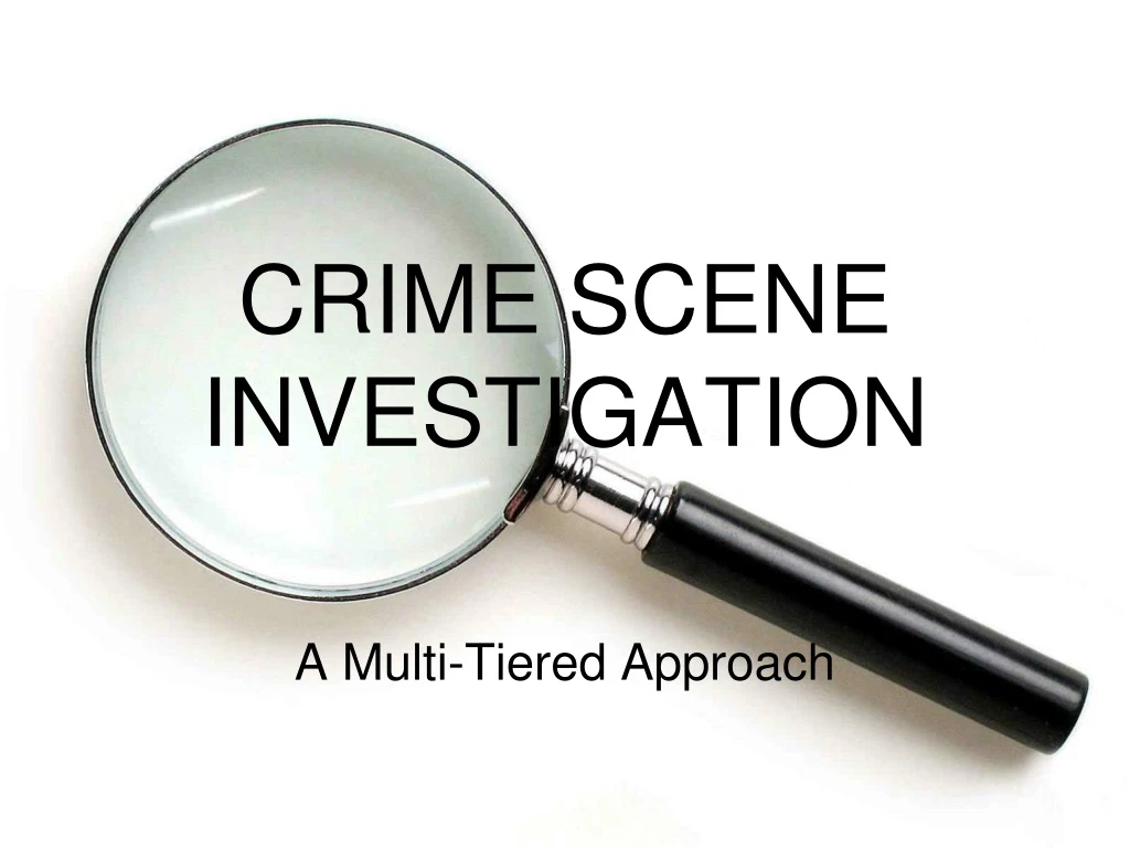 crime scene investigation