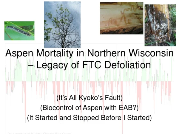 Aspen Mortality in Northern Wisconsin – Legacy of FTC Defoliation