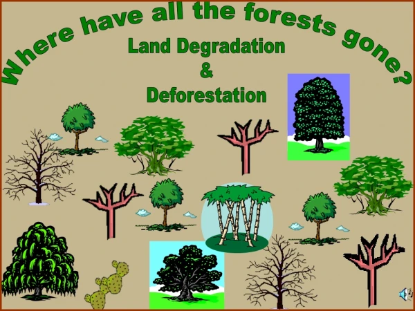 Where have all the forests gone?
