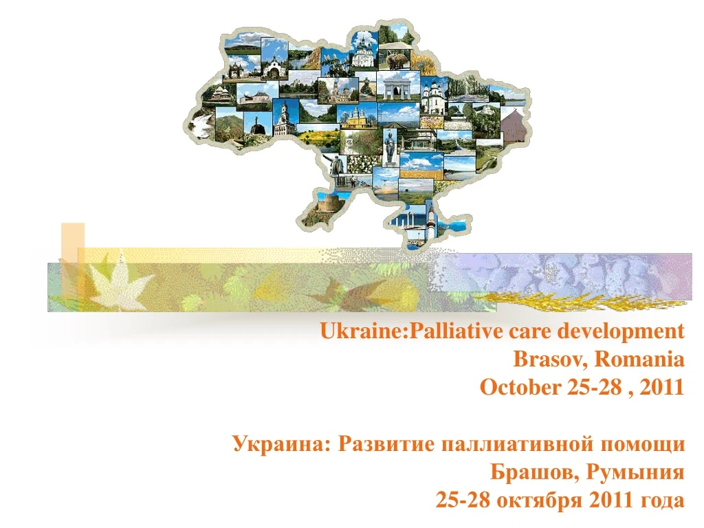 ukraine palliative care development brasov