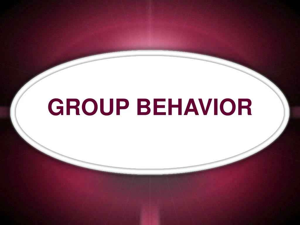 group behavior