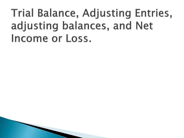 Trial Balance, Adjusting Entries, adjusting balances, and Net Income or Loss.