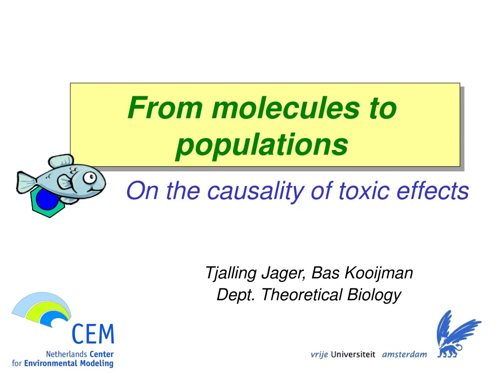 from molecules to populations on the causality of toxic effects
