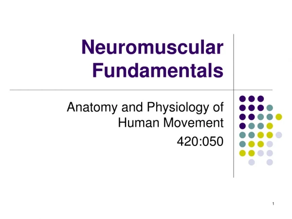 Neuromuscular Fundamentals