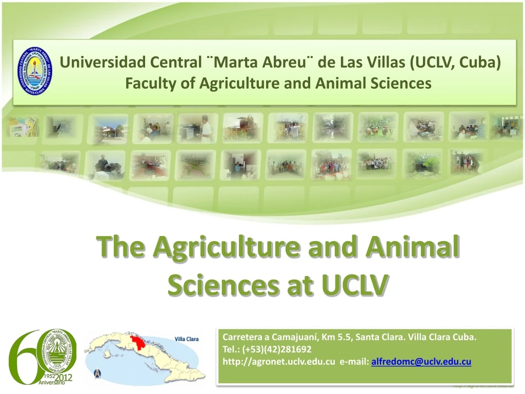 the agriculture and animal sciences at uclv
