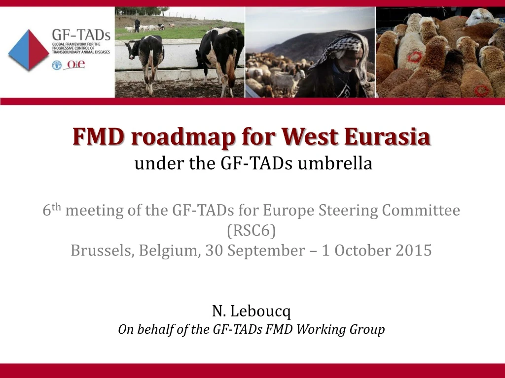 fmd roadmap for west eurasia under the gf tads