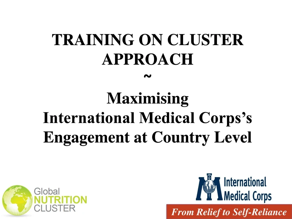 training on cluster approach m aximising international medical corps s engagement at country level