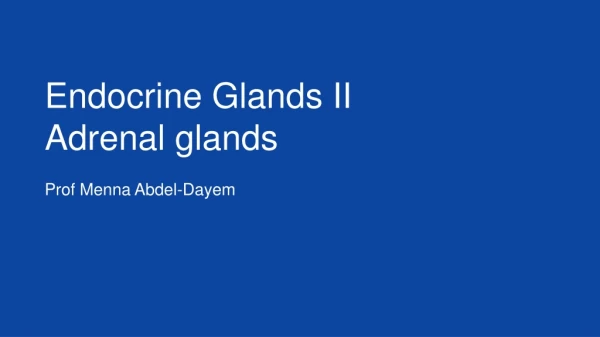 Endocrine Glands II  Adrenal glands