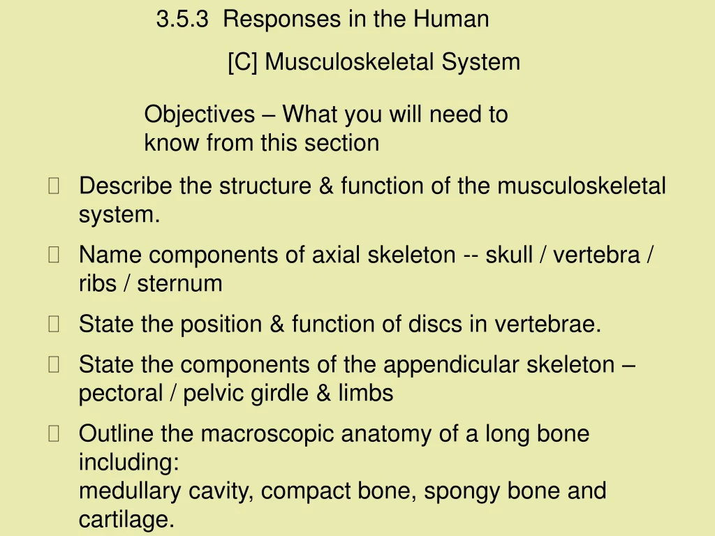 3 5 3 responses in the human c musculoskeletal