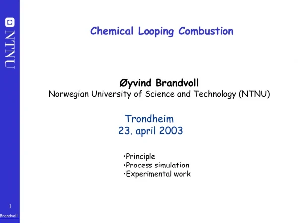 Chemical Looping Combustion