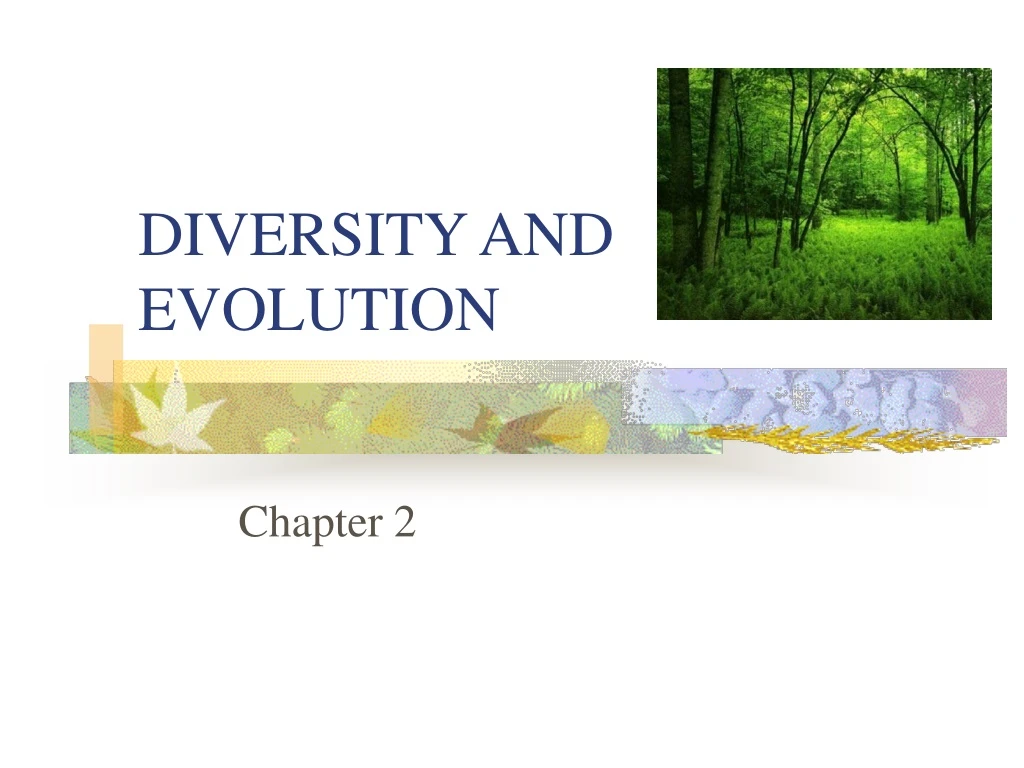diversity and evolution