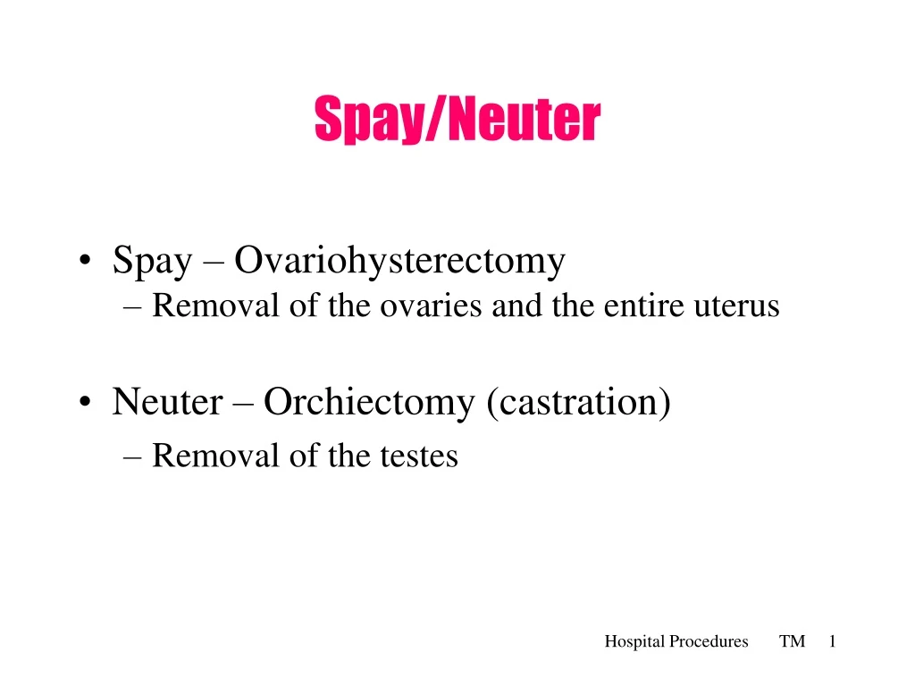 spay neuter