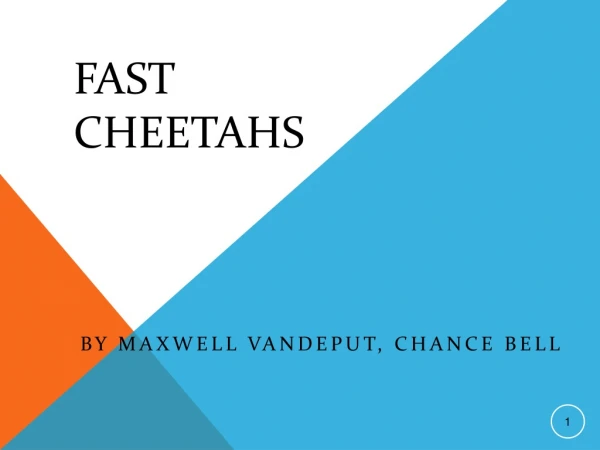 Fast Cheetahs