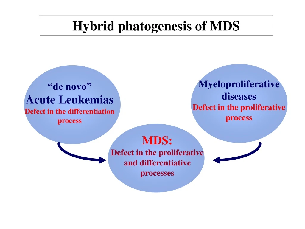 hybrid phatogenesis of mds