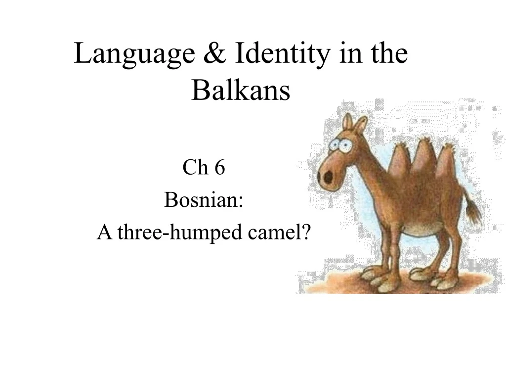 language identity in the balkans