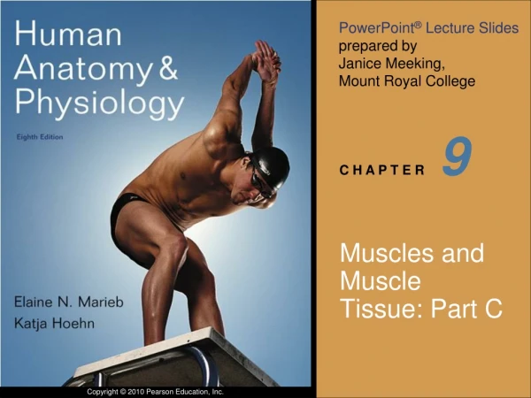 Muscles and Muscle Tissue: Part C