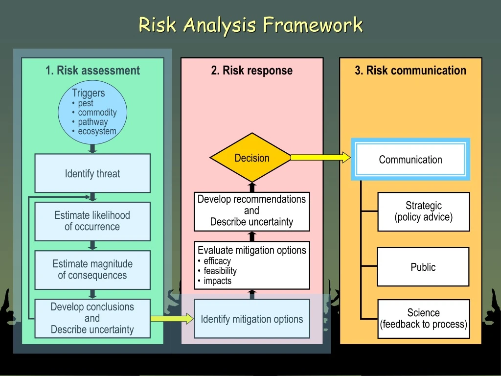 risk analysis framework