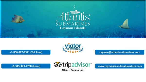 Dive the Caribbean Comfortably with your Family in Grand Cayman