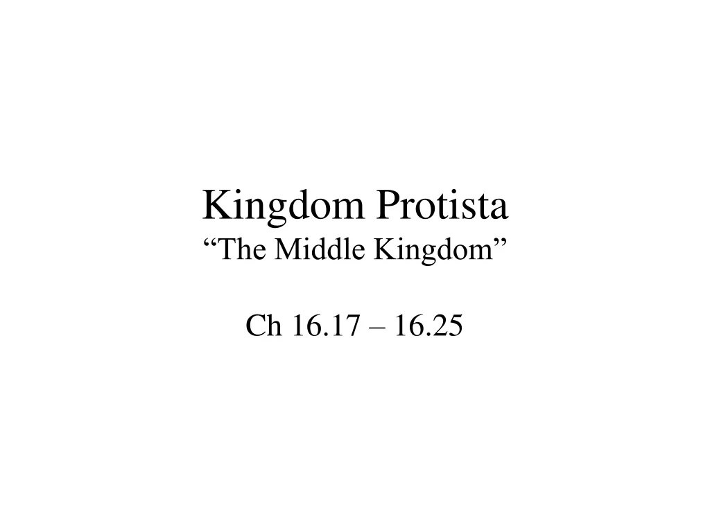 kingdom protista the middle kingdom
