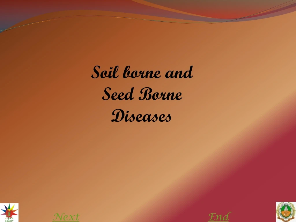 soil borne and seed borne diseases