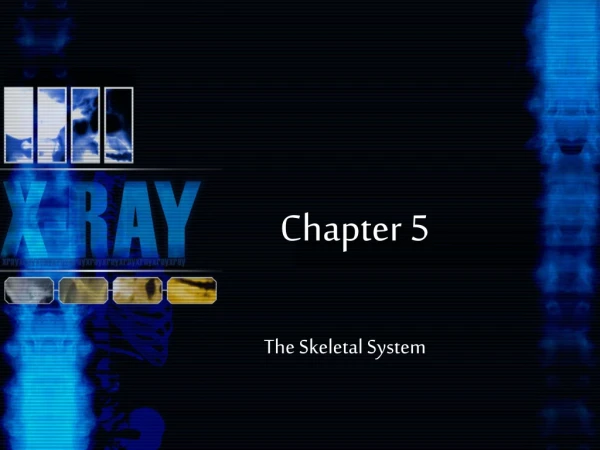 Chapter 5