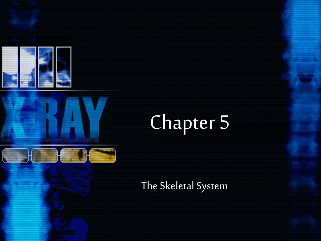 chapter 5