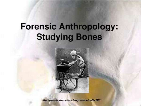 Forensic Anthropology: Studying Bones