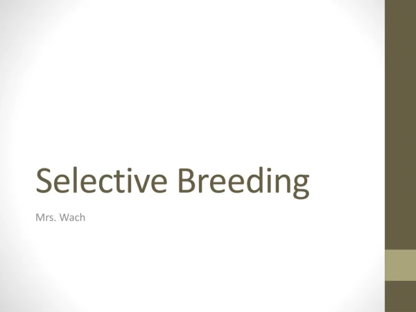 Selective Breeding