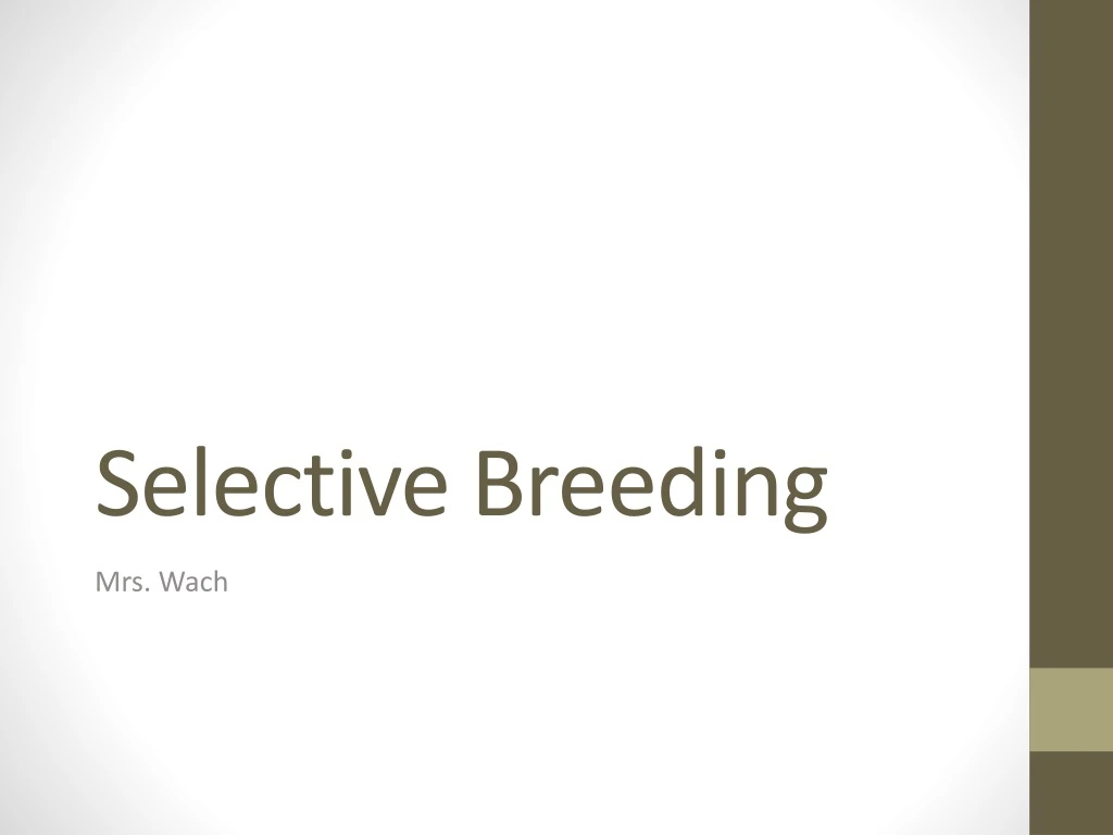 selective breeding