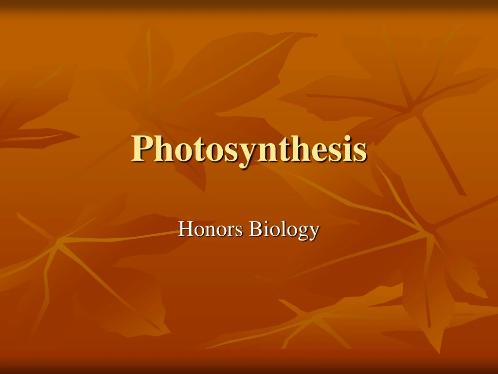 photosynthesis