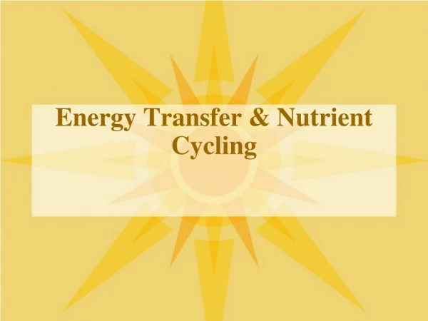 Energy Transfer &amp; Nutrient Cycling